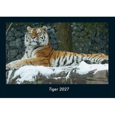 Tiger 2027 Fotokalender DIN A4