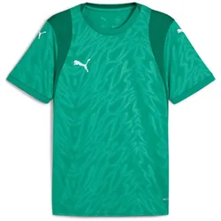 PUMA teamCUP Trikot Herren 05 - sport green/puma white/power green XL