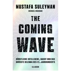 The Coming Wave, Sachbücher von Michael Bhaskar, Mustafa Suleyman