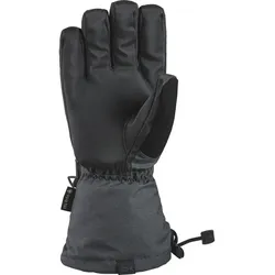 Dakine Titan Gore-Tex Skihandschuhe Herren 007 - carbon L