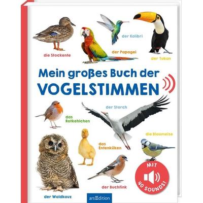 Mein großes Buch der Vogelstimmen, Gebundene Ausgabe von , arsedition, 978-3-8458-5532-5
