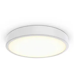 Philips Lighting 3D-LED-Leuchte TCBRLS 46S #86384200
