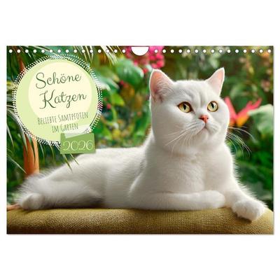 Schöne Katzen. Beliebte Samtpfoten im Garten (Wandkalender 2026 DIN A4 quer), CALVENDO Monatskalender