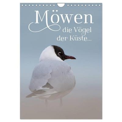 Möwen - die Vögel der Küste (Wandkalender 2026 DIN A4 hoch), CALVENDO Monatskalender