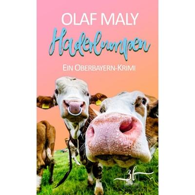 Haderlumpen, Taschenbuch von Olaf Maly, Zeilenfluss, 978-3-96714-686-8