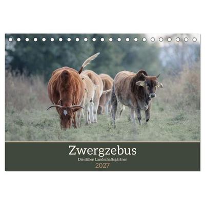 Zwergzebus - Die stillen Landschaftsgärtner (Tischkalender 2027 DIN A5 quer), CALVENDO Monatskalender