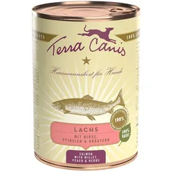Terra Canis Classic 400g Dose Hundenassfutter Sparpaket 12 x 400 Gramm Lachs mit Hirse, Pfirsich & Kräuter