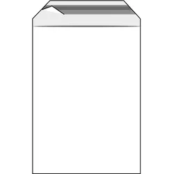 100 Klappenbeutel, wiederverschließbar, PE-Folie, transparent PE | 50 μm | 300 x 400 mm