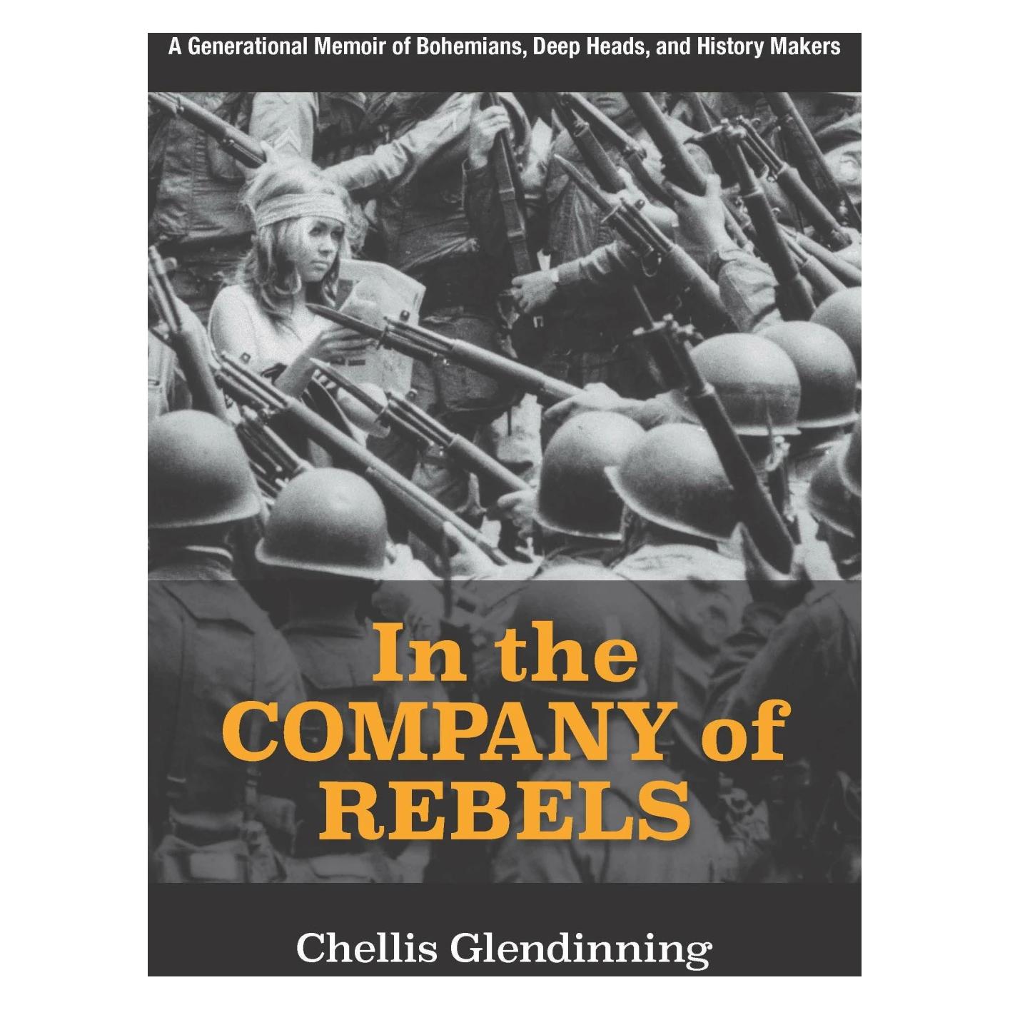 New Village Press In the Company of Rebels (Englisch, Chellis Glendinning) (42037979)