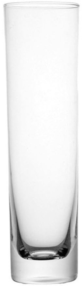Dailygoods Glazen Cilinder Vaas - Helder Transparant - Hoogte: 17,5 cm