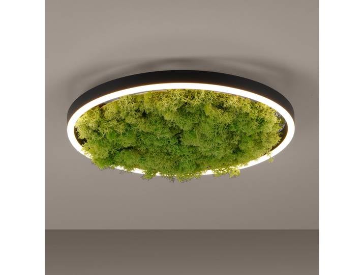 Plafonnier LED Ø 40cm Vert Fer / Aluminium laqué LED Module LED