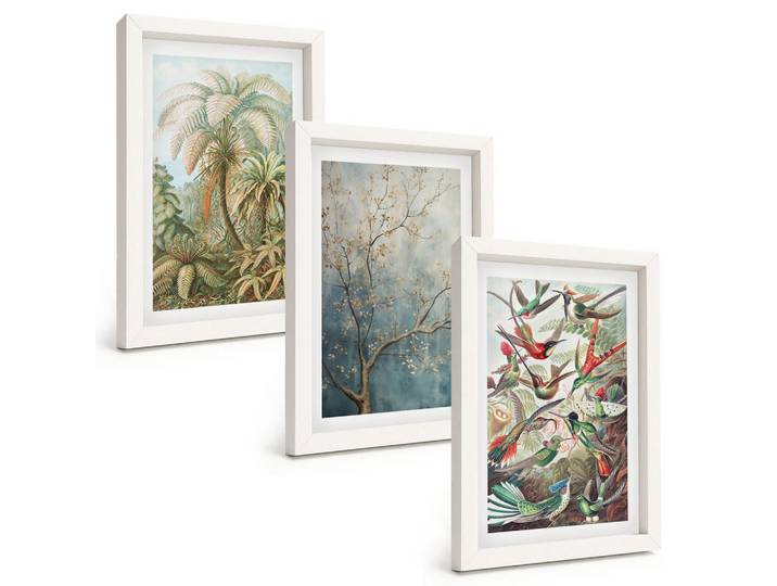 Tulup Bilder SET 3er Set - 20x30 cm Weißer Rahmen - Tropische Pflanzen, Vögel, Natur, Kunststoff, Rechteckig, 20x30 cm, gerahmt, Bilder & Rahmen, Bilder
