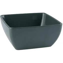 APS Schale "PURE COLOR", Schüssel + Schale, Grün