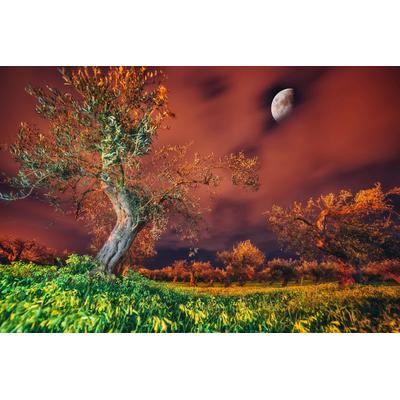 Fototapete PAPERMOON "Baum in Landschaft", bunt, B:3,5m L:2,6m, Vlies, Tapeten