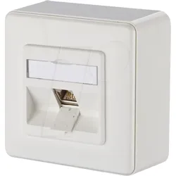 BTR 1309110002-E - E-DAT modul 1 Port AP Cat.6A  reinweiß