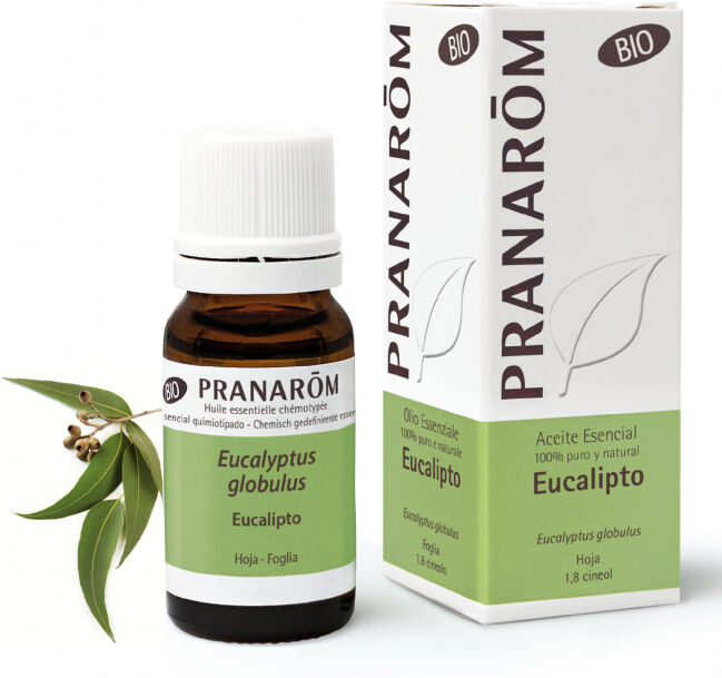 pranarom olio essenziale Eucalipto - 10 ml