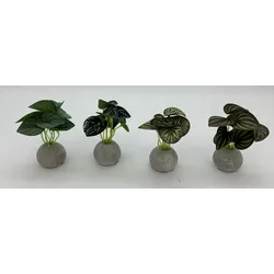 Kunstpflanze MILA (DH 4,50x10 cm) - DH 4,50x10 cm