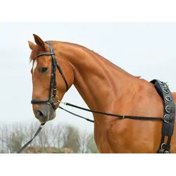 Ausbindezügel BU Basic-Starr Leder, breite 15mm bzw.18mm black PO/VB