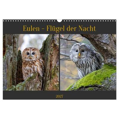 Eulen - Flügel der Nacht (Wandkalender 2027 DIN A3 quer), CALVENDO Monatskalender
