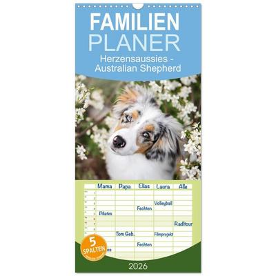 Familienplaner 2026 - Herzensaussies - Australian Shepherd mit 5 Spalten (Wandkalender, 21 x 45 cm) CALVENDO