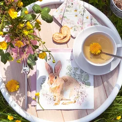 Home Fashion, Rosi Rabbit, Lunch-Servietten aufgefaltetes Maß 33 cm x 33 cm, im Viertelfalz, 20 Stück pro Pack