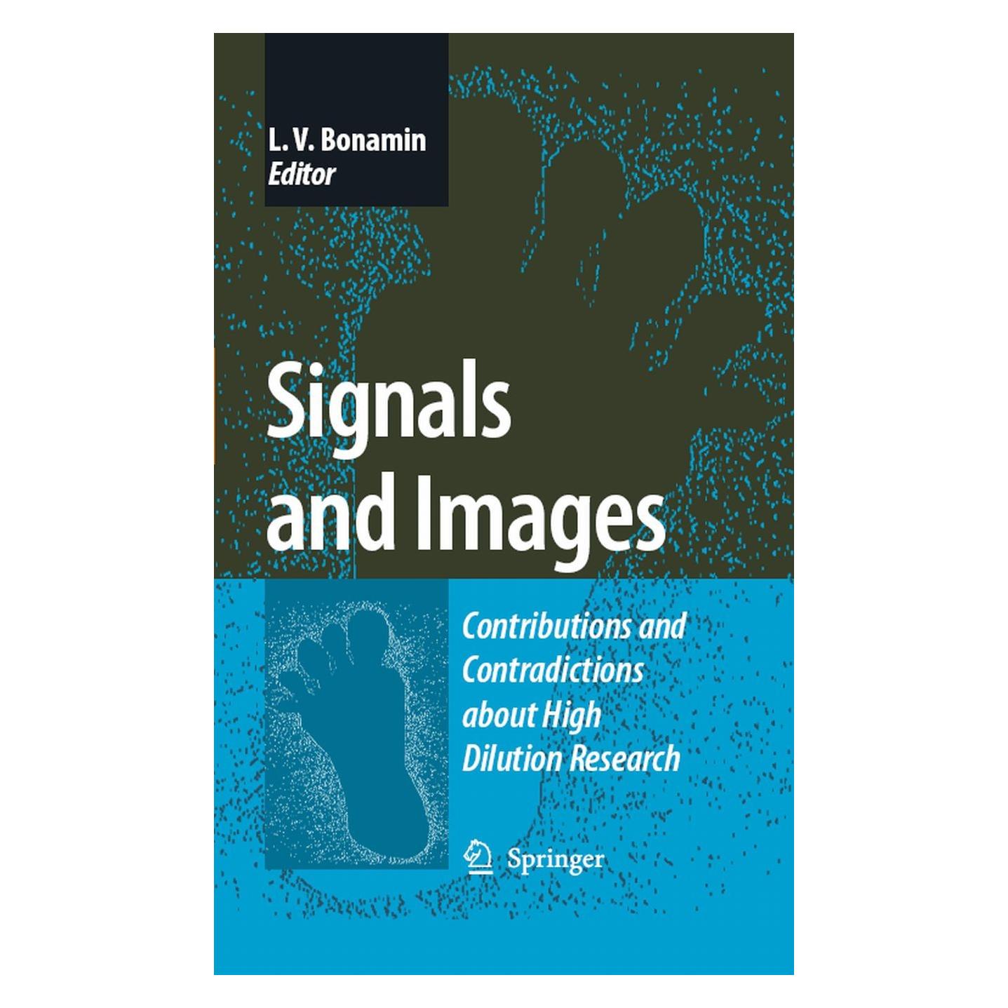 Springer Signals and Images (Englisch, Hardcover, Leoni Villano Bonamin) (9781402085345)