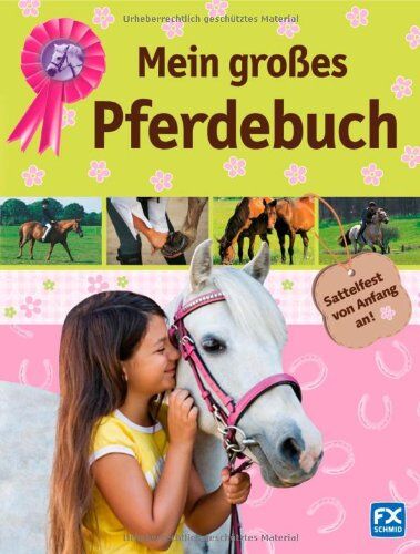 Mein großes Pferdebuch - Preis vom 13.10.2026 11:25:28 h