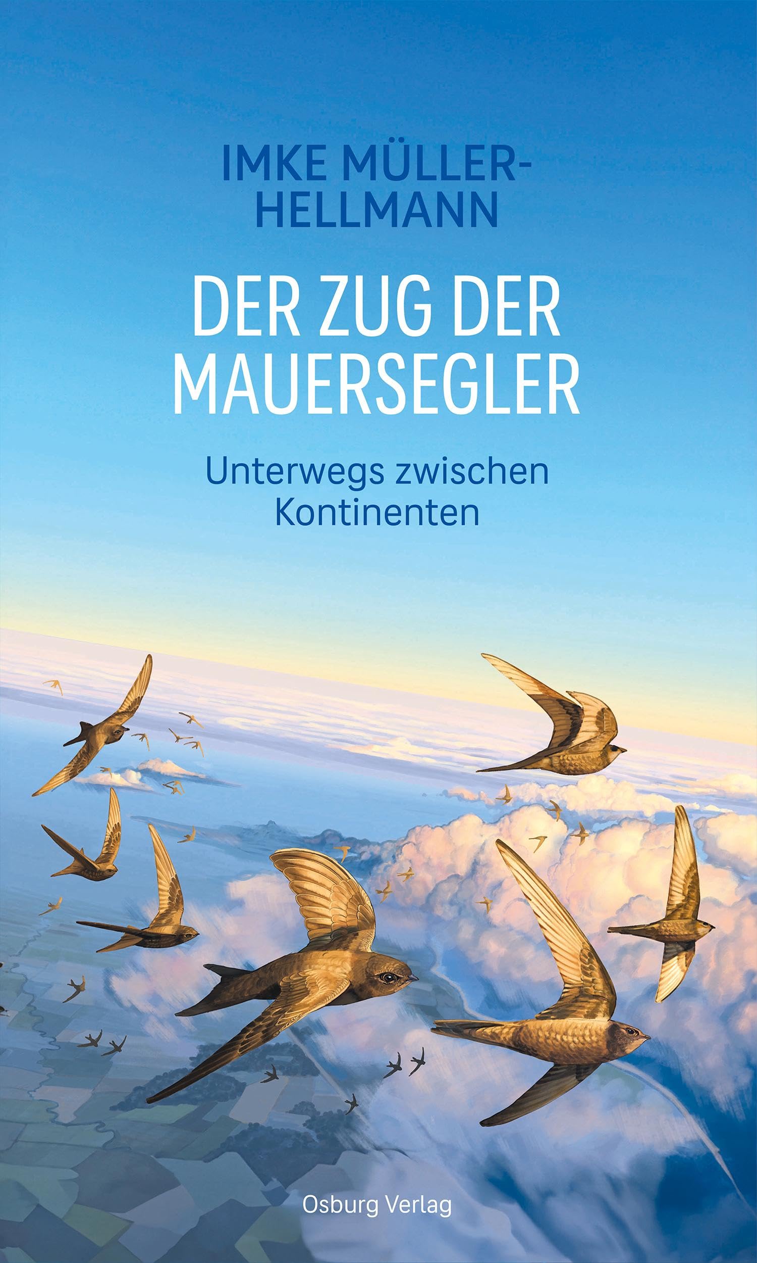 Imke Müller-Hellmann - Der Zug der Mauersegler: Unterwegs zwischen Kontinenten - Preis vom 10.10.2026 11:48:34 h