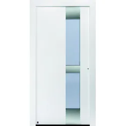 Hörmann ThermoCarbon Haustür Motiv 310