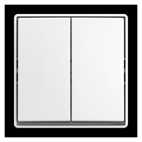 Busch-Jaeger Wippschalter AP (2TKA00005523)