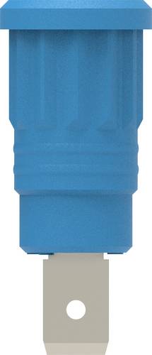 Electro PJP 3286-CD1-BL Sicherheits-Einpressbuchse Blau