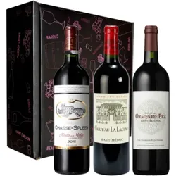 Wein Geschenkset - Best Of Bordeaux Jg. 2015 - 3 Fl. - 2.25L