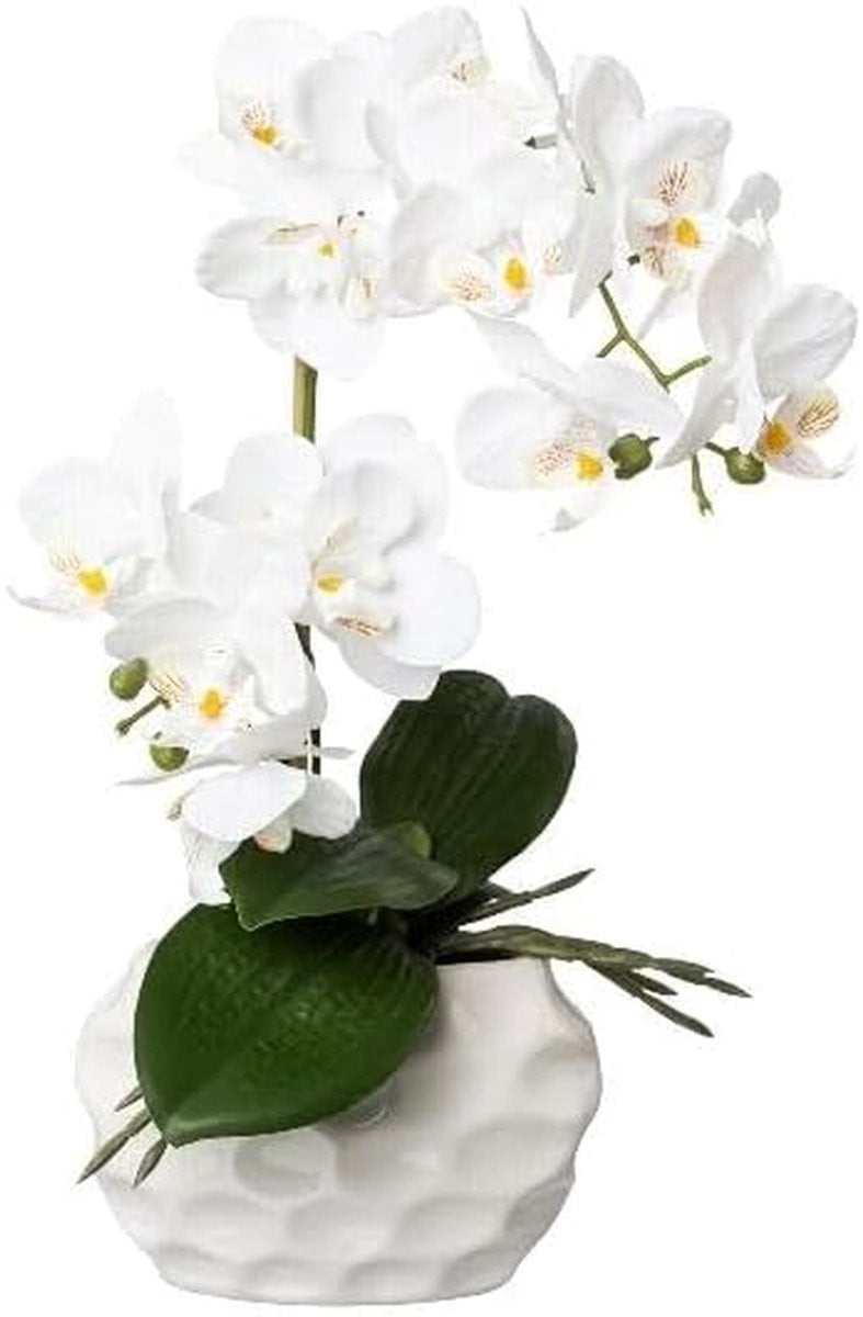 Kunst Orchidee Phalaenopsis Vlinderorchidee Wit - 35 cm