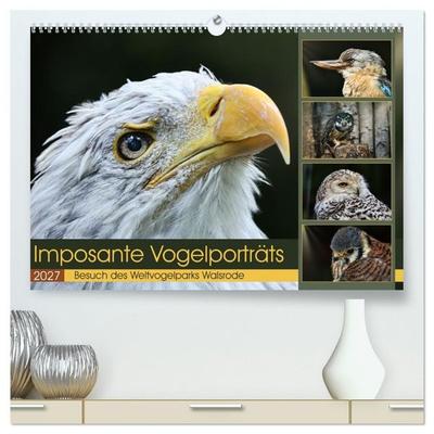Imposante Vogelporträts (hochwertiger Premium Wandkalender 2027 DIN A2 quer), Kunstdruck in Hochglanz