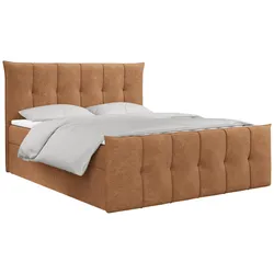 BOXBETT PREMIUM 11 120/200 Orange Struktur - H4