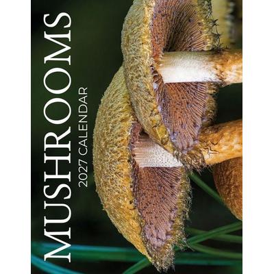 Mushrooms 2027 Calendar, Taschenbuch von B. Patrick, Baldega Books