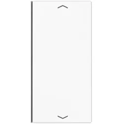 Jung Taste 2-fach aws LS 402 TSAP WW