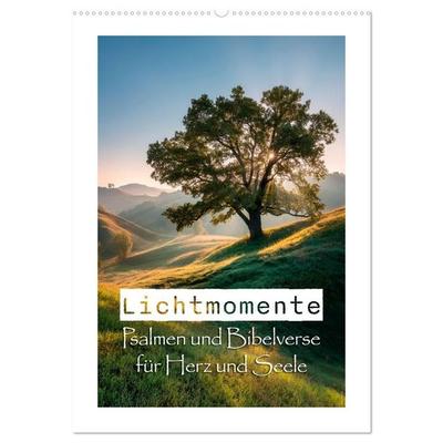 Lichtmomente - Psalmen und Bibelverse für Herz und Seele (Wandkalender 2027 DIN A2 hoch), CALVENDO Monatskalender
