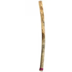 Terré X-Large Kaktus Rainmaker Thin 100 cm - Rainmaker