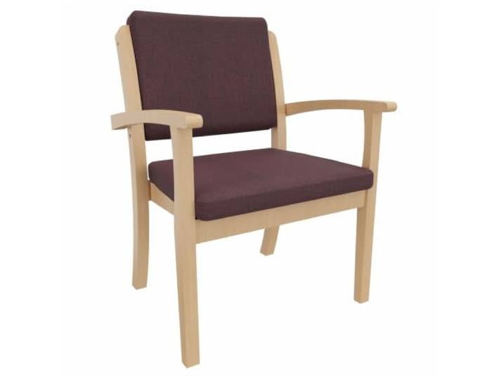 Erides Schwerlaststuhl Alexander XXL – Stuhl mit Armlehnen für Schwergewichtige bis 250 kg – 49cm Sitzhöhe
