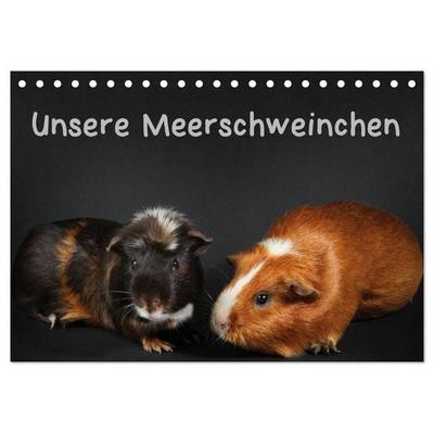 Unsere Meerschweinchen (Tischkalender 2026 DIN A5 quer), CALVENDO Monatskalender