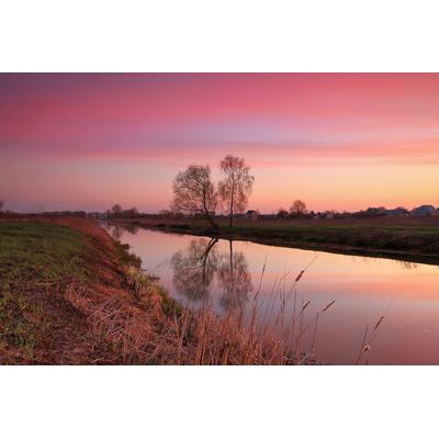 Fototapete PAPERMOON "Fluss durch Feld", bunt, B:4m L:2,6m, Vlies, Tapeten
