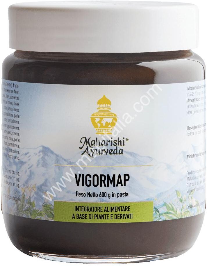 MAP ITALIA Srl VIGORMAP Pasta 600g