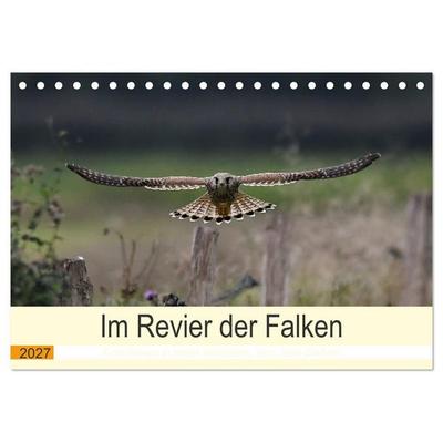 Im Revier der Falken (Tischkalender 2027 DIN A5 quer), CALVENDO Monatskalender