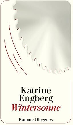 Katrine Engberg - Wintersonne: Der Kopenhagen-Krimi (detebe) - Preis vom 15.10.2026 23:06:25 h