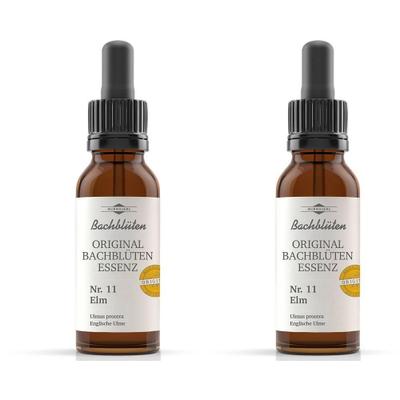 Bachblüten Murnauer Elm Tropfen 2x 2x20 ml