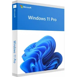 Microsoft OEM Windows 11 Pro 64Bit Slovak 1pk DVD für Windows