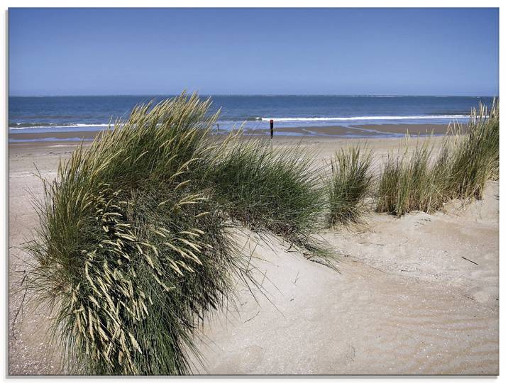 Glasbild ARTLAND wellige Dünenlandschaft , grün (farbe bild(er): grün), B:60cm H:45cm, Bilder, Glasbild, in verschiedenen Grössen