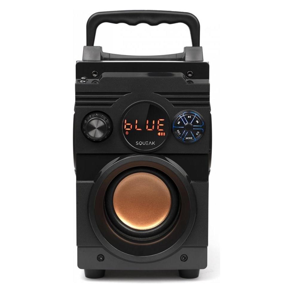 Squeak Głośnik Bassblaster Bluetooth 5.1 Radio Fm Odtwarzacz Mp3 Sq1001 (SQ1001)
