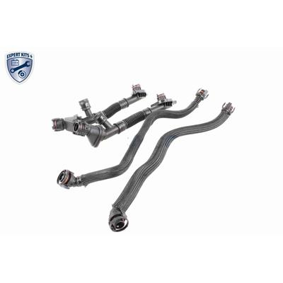 VAICO Reparatursatz, Kurbelgehäuseentlüftung EXPERT KITS + v203292 für BMW
